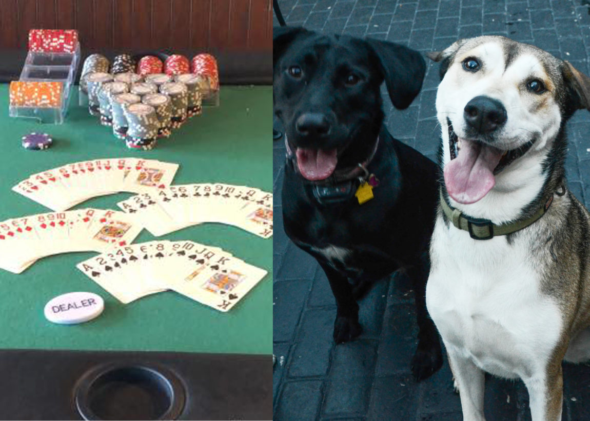pupsandpoker.jpg