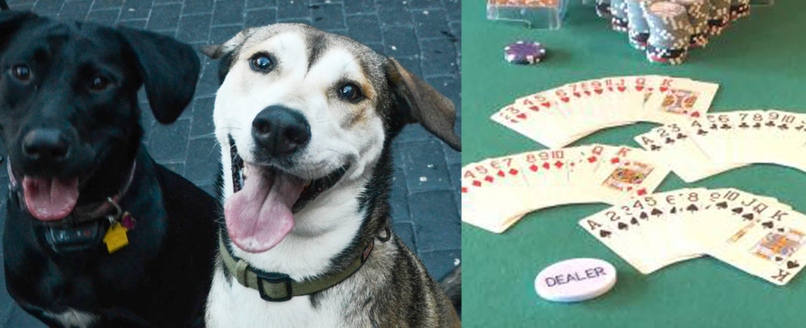 pupsandpoker-3.jpg